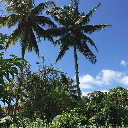 Logement En Pleine Verdure Tropicale -10 Min Plage Le Morne-Rouge Luaran gambar