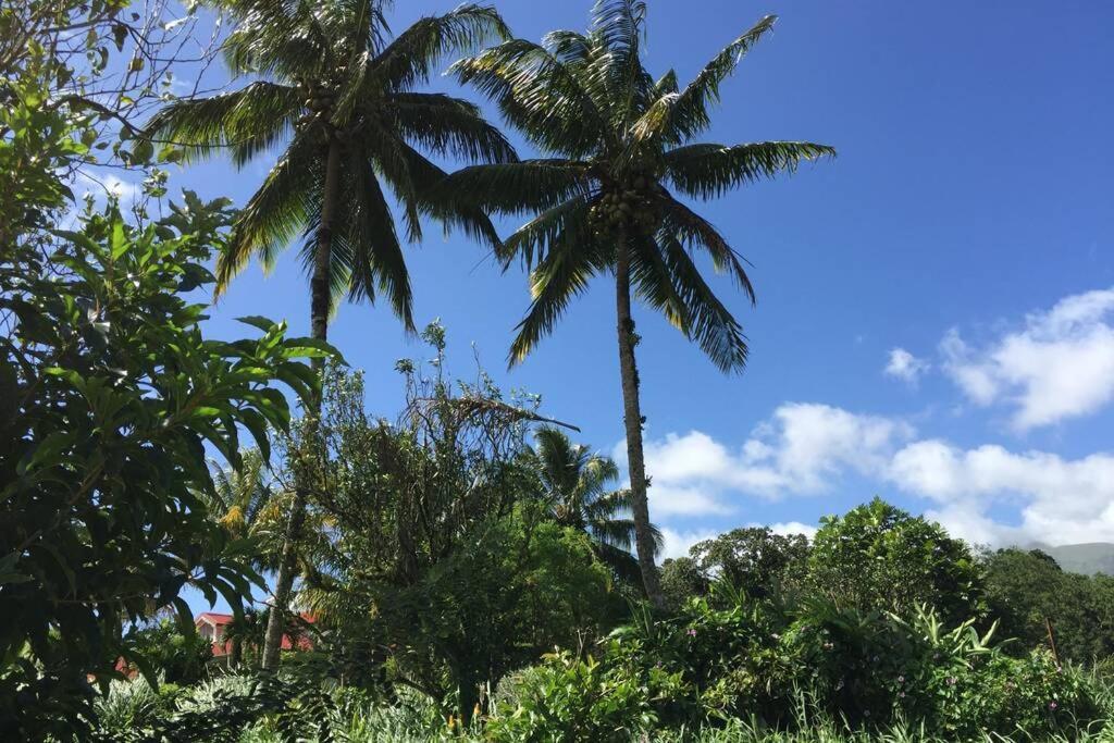 Logement En Pleine Verdure Tropicale -10 Min Plage Le Morne-Rouge Luaran gambar