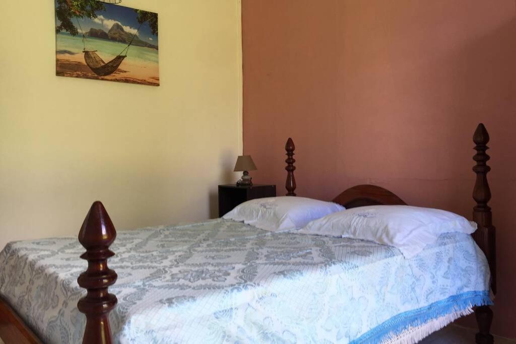 Logement En Pleine Verdure Tropicale -10 Min Plage Le Morne-Rouge Luaran gambar