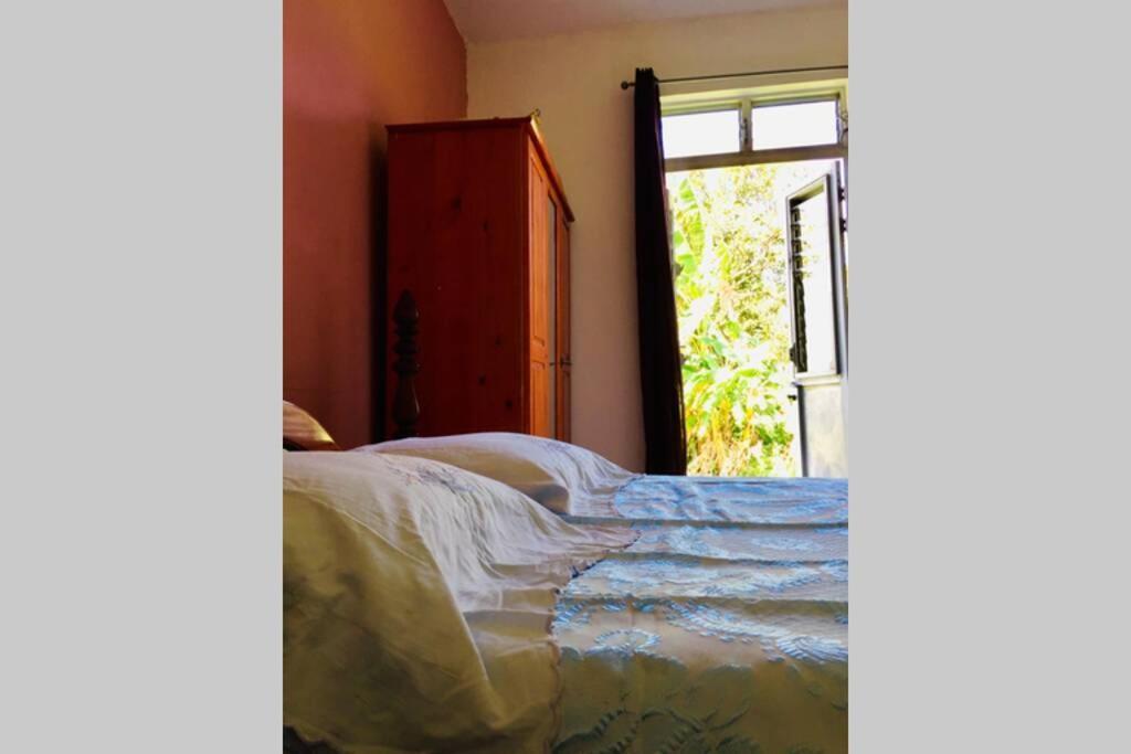 Logement En Pleine Verdure Tropicale -10 Min Plage Le Morne-Rouge Luaran gambar