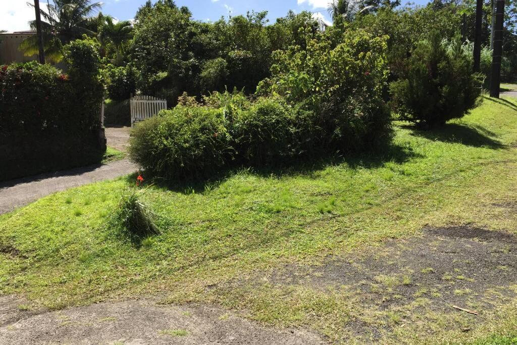 Logement En Pleine Verdure Tropicale -10 Min Plage Le Morne-Rouge Luaran gambar